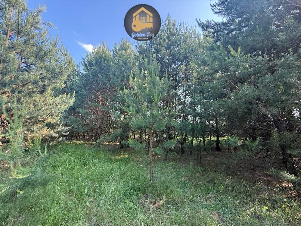 Продаж ділянки для особистого сільського господарства 284 соток, автошлях 1016