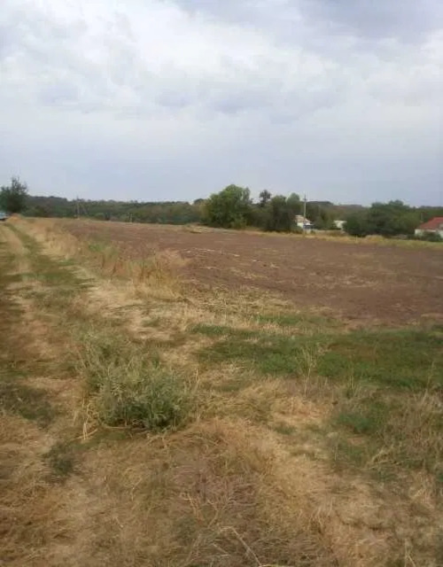Продаж ділянки під індивідуальне житлове будівництво 64 соток