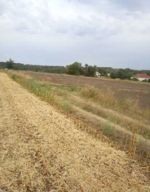 Продаж ділянки під індивідуальне житлове будівництво 64 соток
