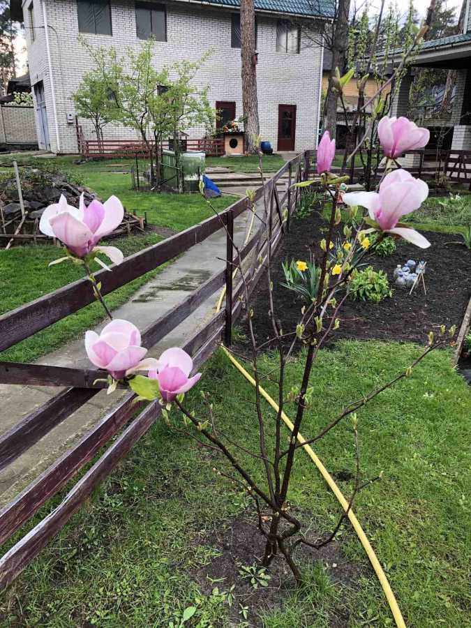 Продажа дома 245 м², Киево-Мироцкая ул.