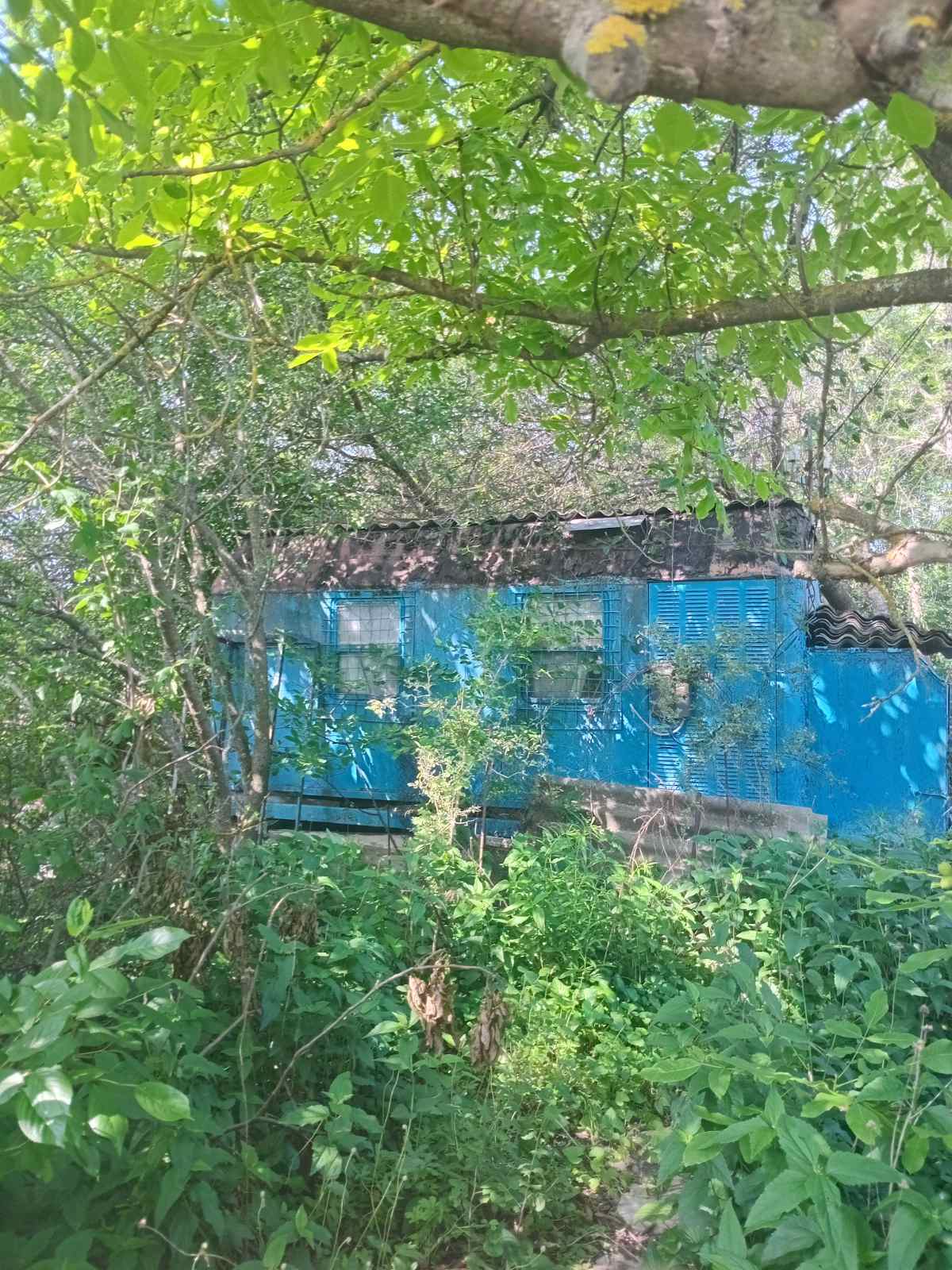 Продажа дачного участка 6 соток