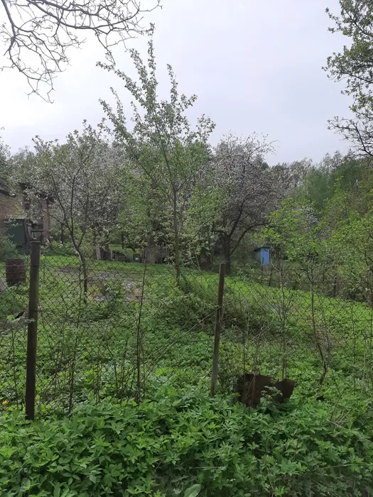 Продажа участка для личного сельского хозяйства 5 соток