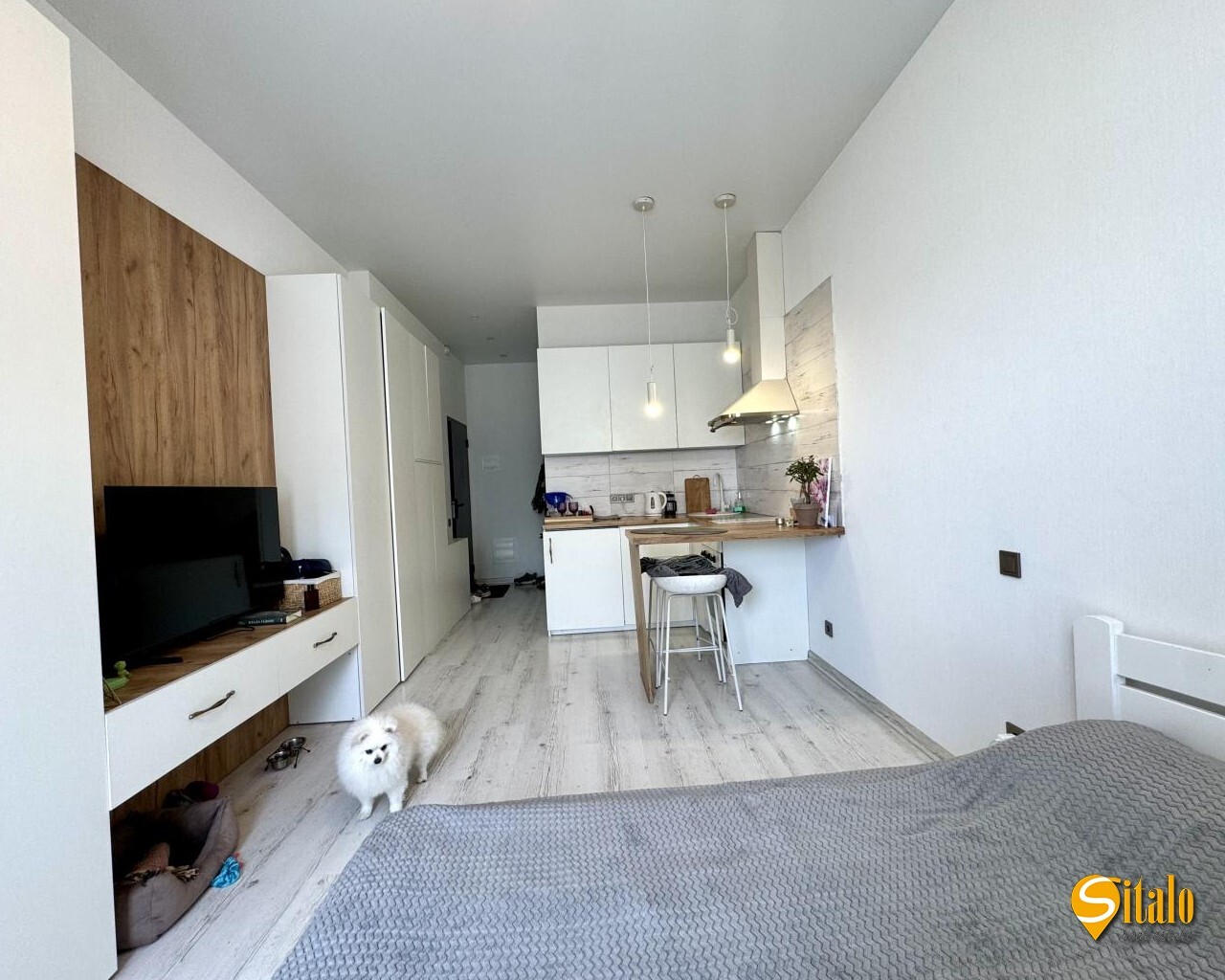 Продаж 1-кімнатної квартири 24.6 м², Кам’янська вул.