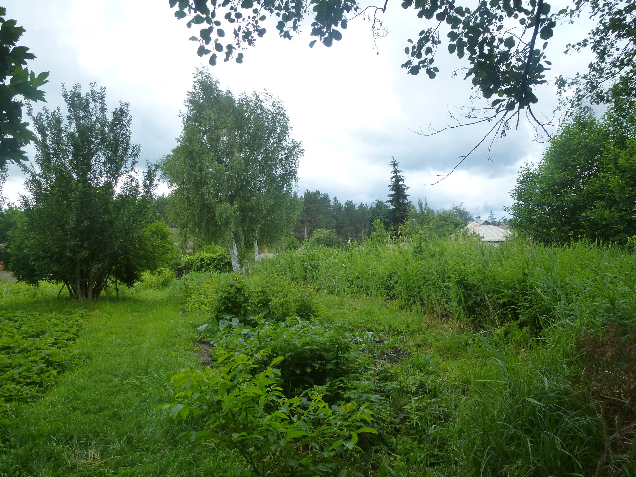 Продаж будинку 40 м²