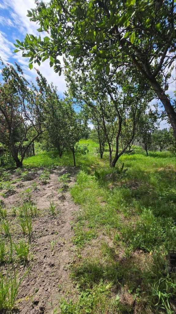 Продаж будинку 70 м², Путрівка