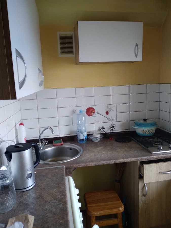 Аренда 1-комнатной квартиры 25 м², Космонавта Волкова ул., 4