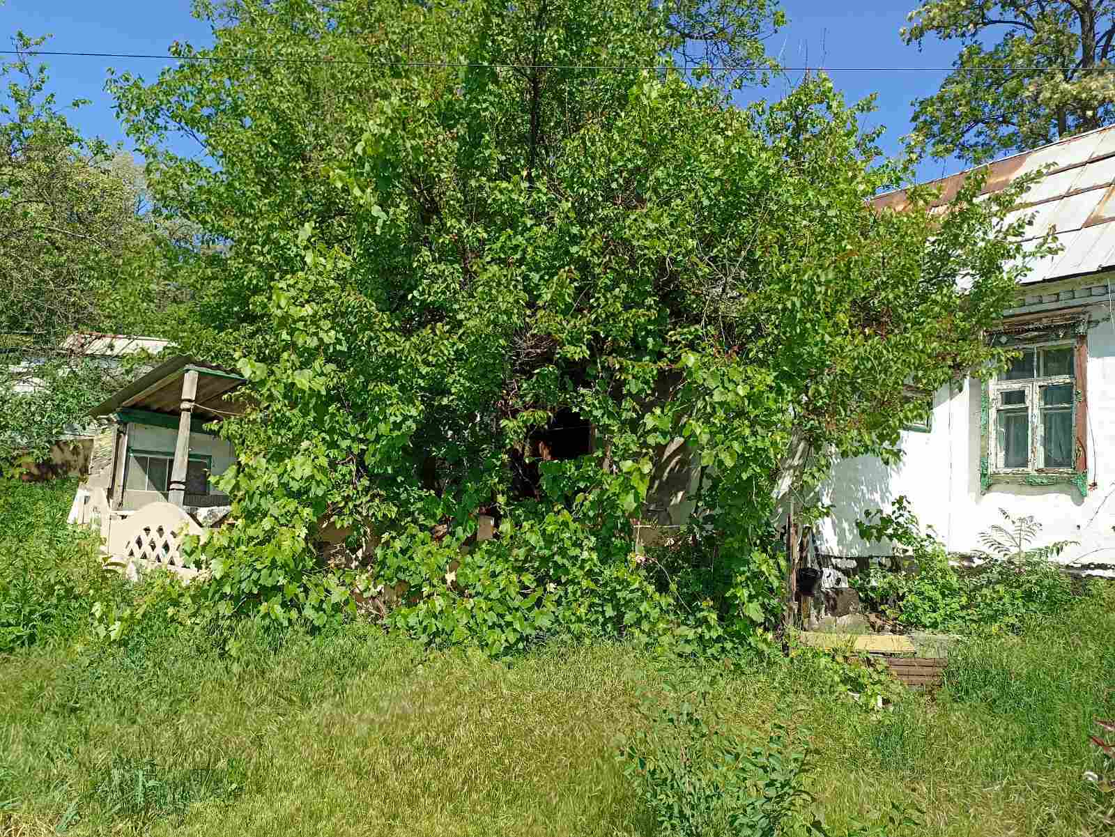 Продаж будинку 90 м², Кооперативний пров.