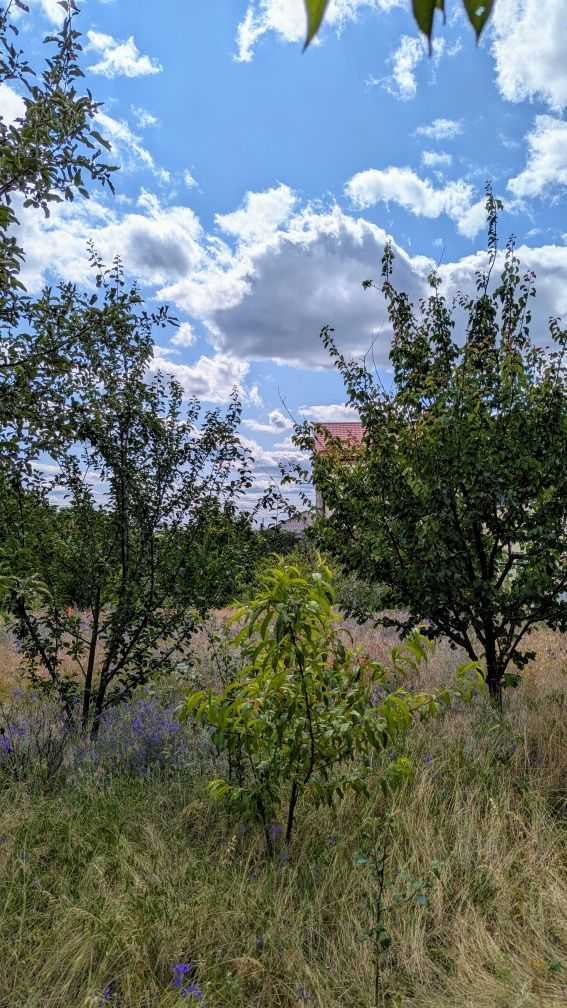 Продажа дома 230 м², Спепова, 30