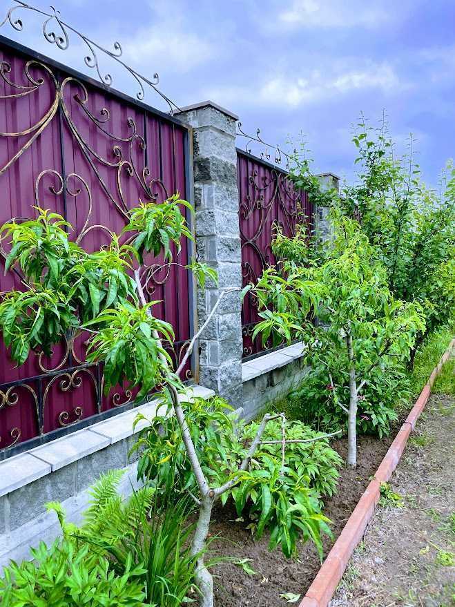 Продажа дома 179 м², Білозіра