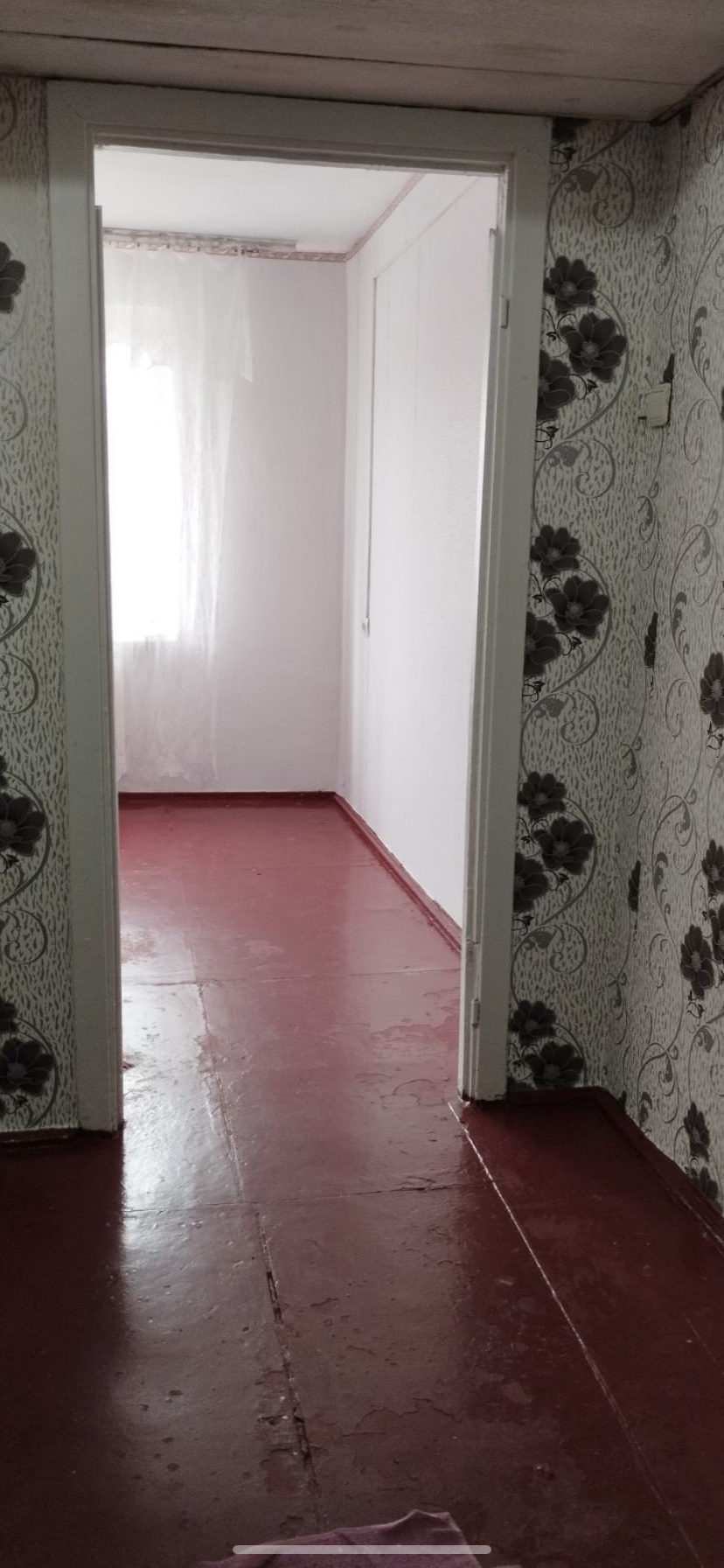 Аренда 1-комнатной квартиры 16.9 м², Самойла Кошки ул., 199