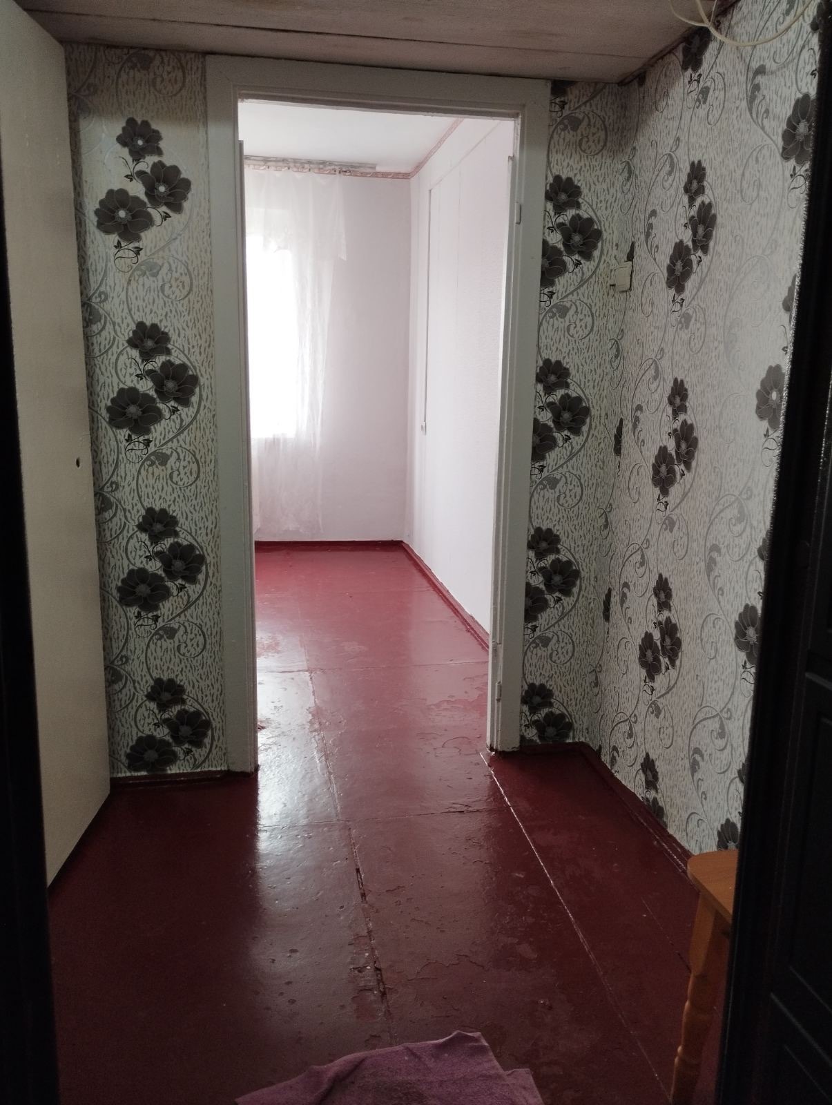Аренда 1-комнатной квартиры 16.9 м², Самойла Кошки ул., 199