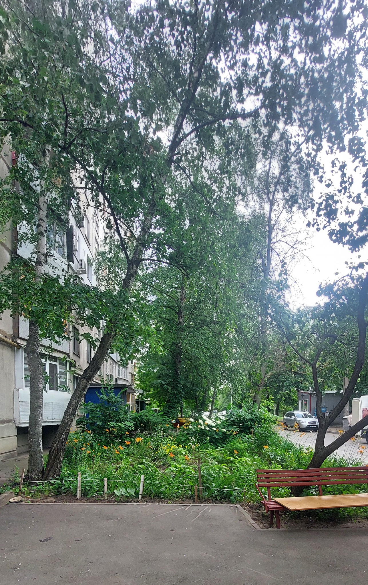 Продажа 2-комнатной квартиры 44 м², Академика Павлова ул., 311