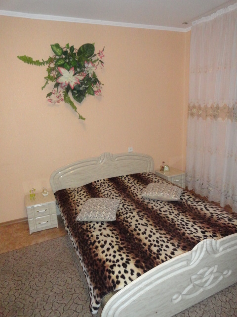 2-комнатная квартира посуточно 49 м², Князя Володимира Великого, 83