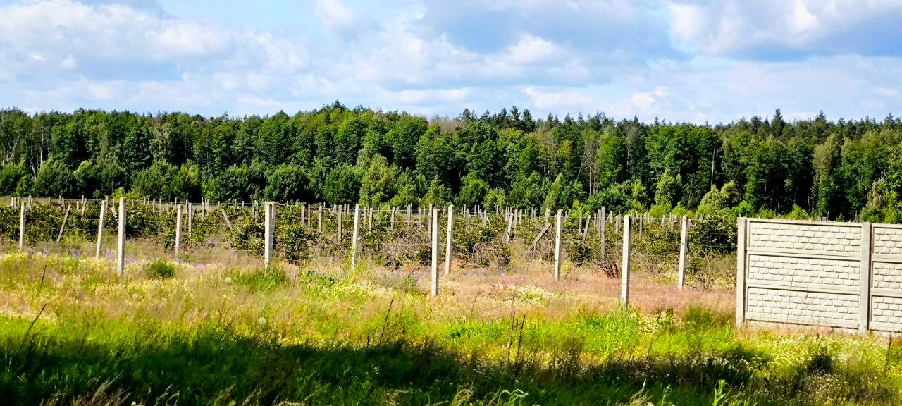 Продаж ділянки під інвестиційний проєкт 7.61 соток