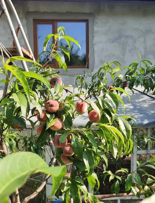 Продажа дома 140 м²