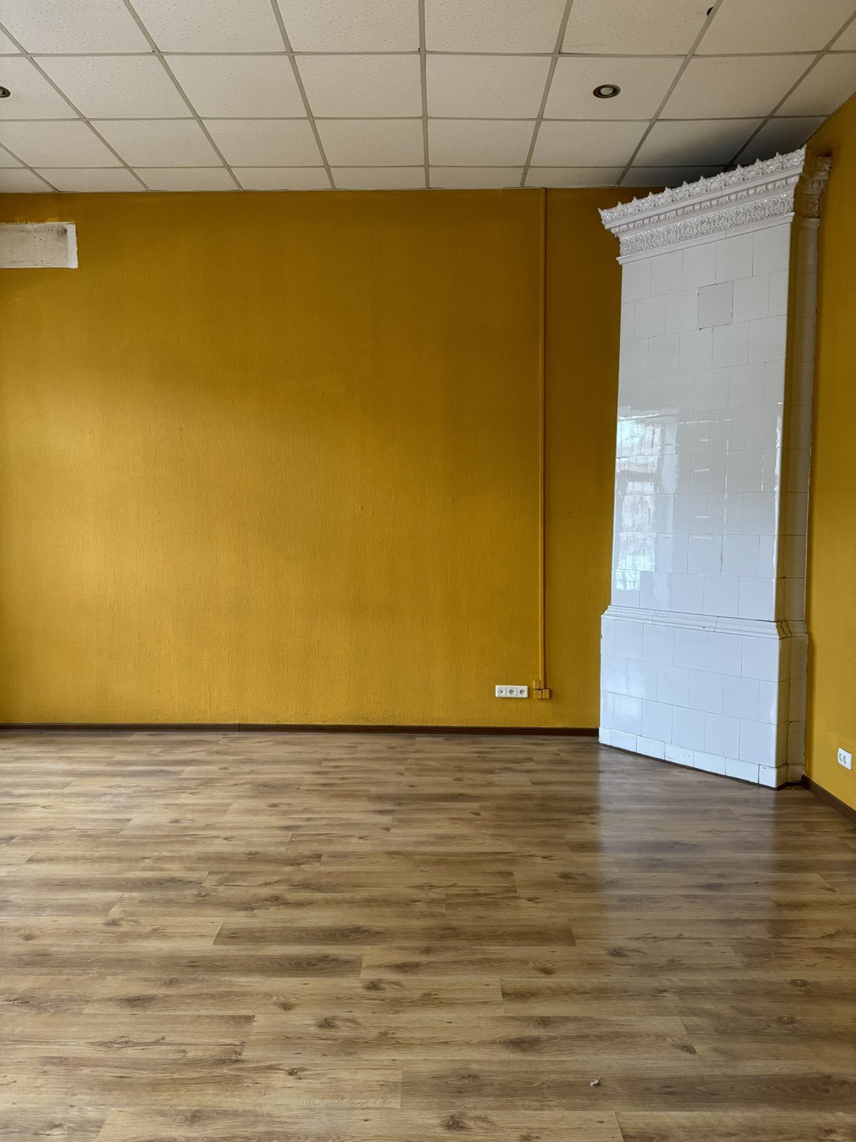 Аренда помещения свободного назначения 270 м², Пушкинская ул., 44