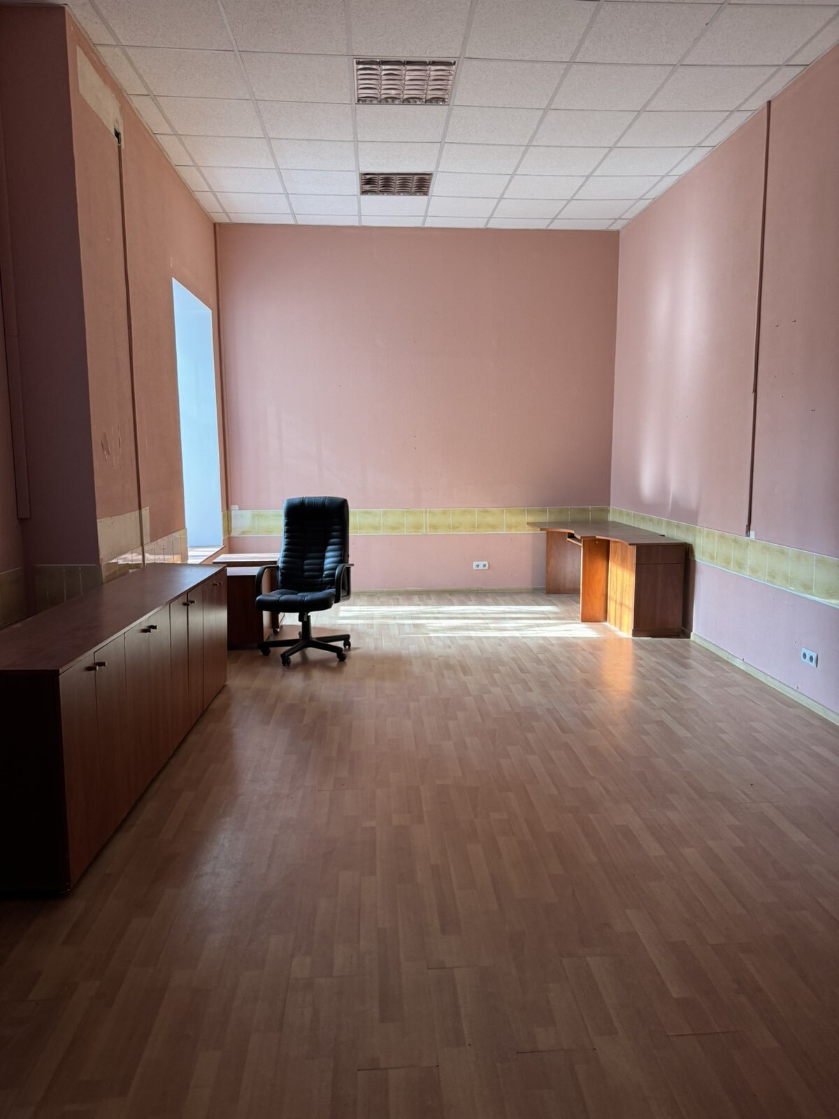 Аренда помещения свободного назначения 270 м², Пушкинская ул., 44