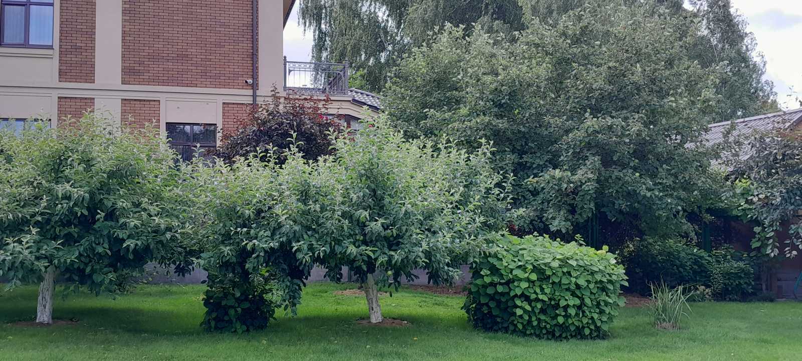 Продажа дома 373 м², Лесная ул.