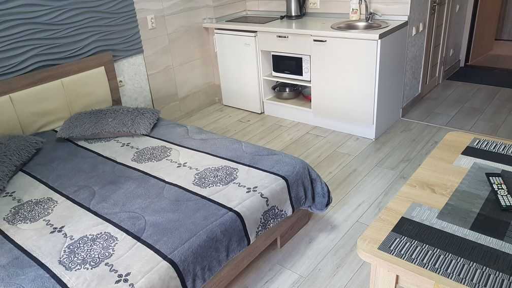 1-комнатная квартира посуточно 23 м², Булавкина, 7а