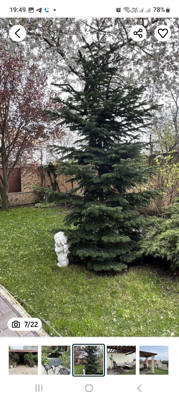 Аренда дома 400 м², Фонтанская дор., 76