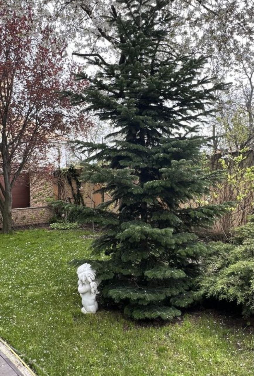 Аренда дома 400 м², Фонтанская дор., 76