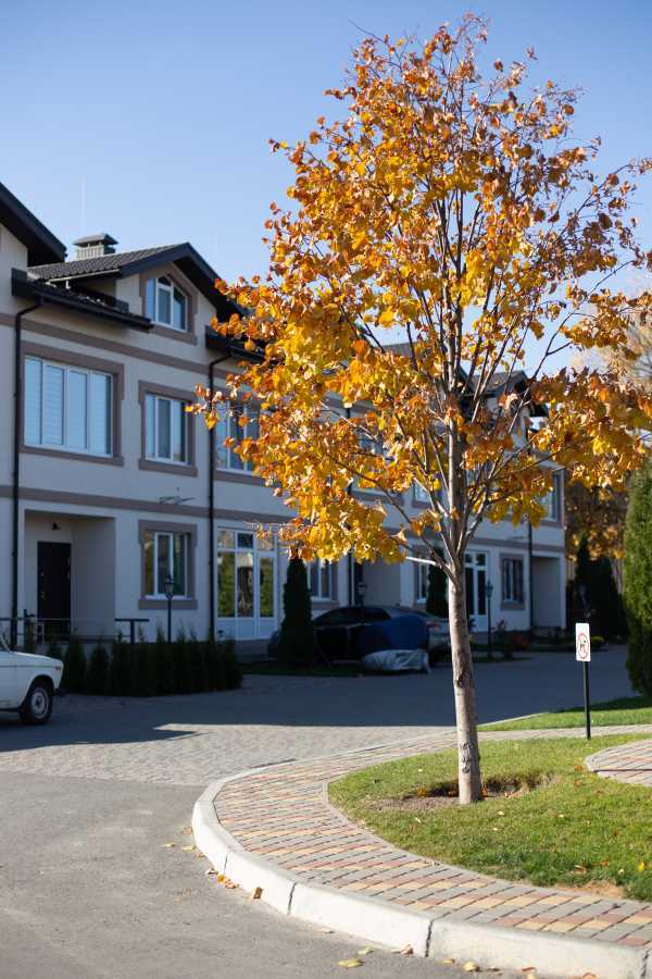 Продаж 2-кімнатної квартири 72 м², Ясна вул., 12
