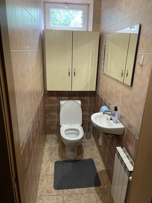Оренда будинку 150 м², Алімпія Галіка (Малоземельна) вул.