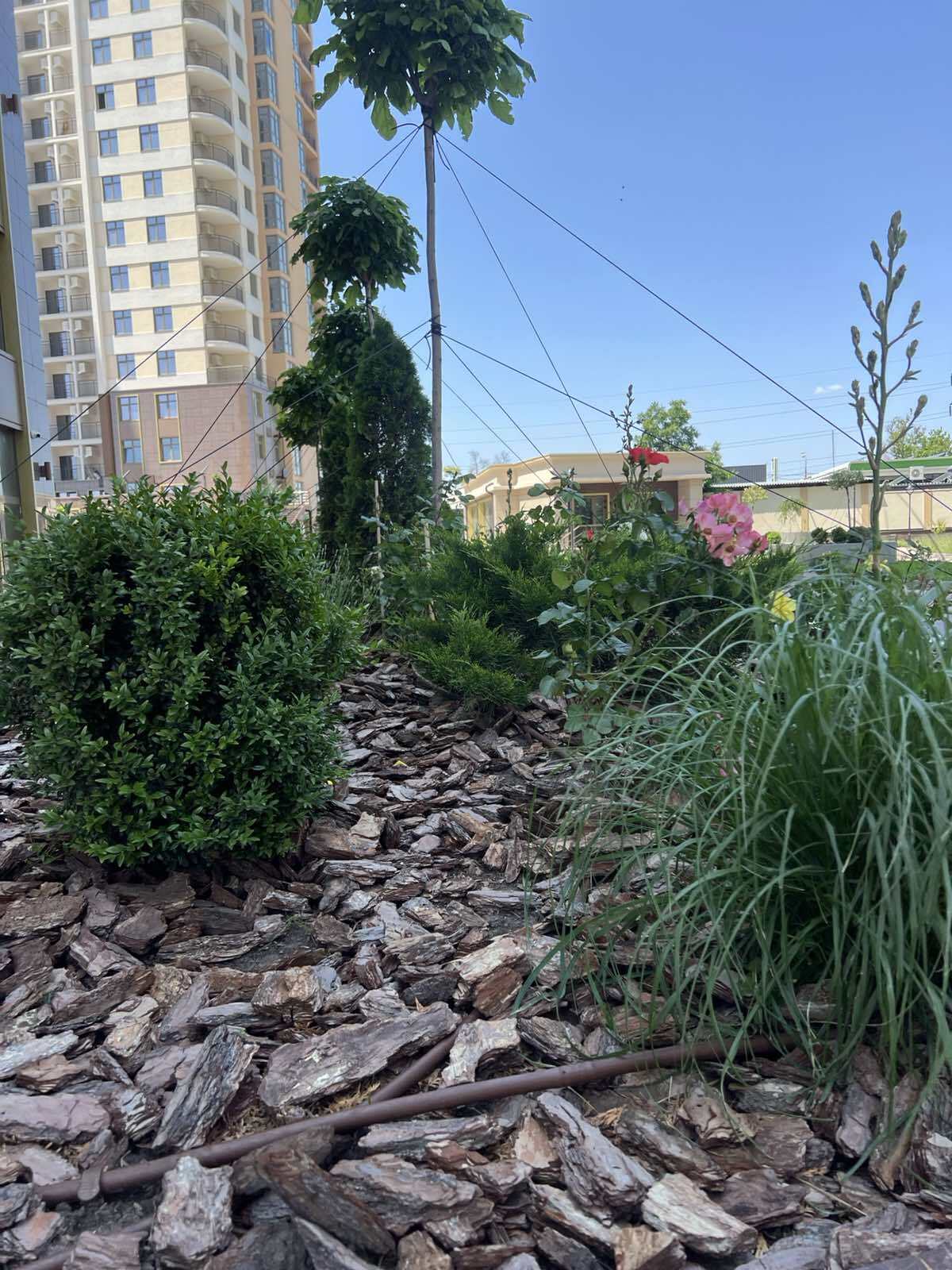 Аренда торгового помещения 80 м², Краснова ул., 3
