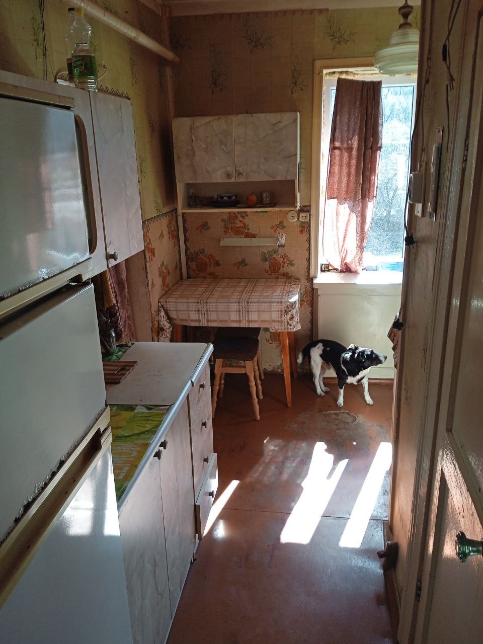 Продажа 3-комнатной квартиры 53 м², Ольшаниця, вул.Лісова 4