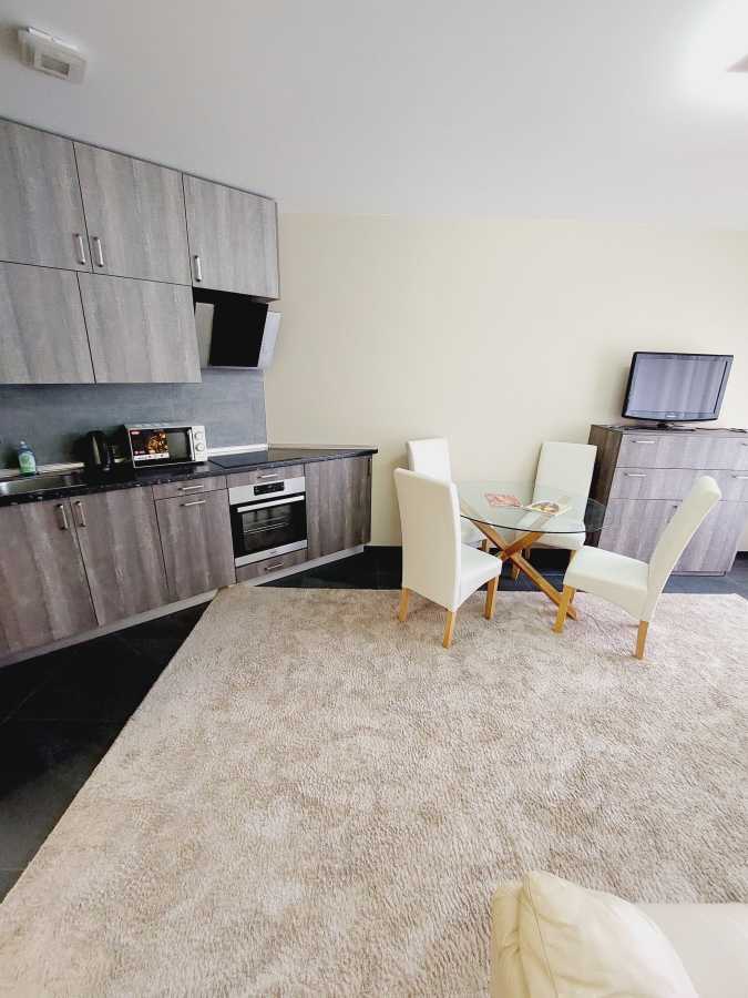 Оренда 1-кімнатної квартири 52 м², Митрополита Василя Липковського вул., 16Г