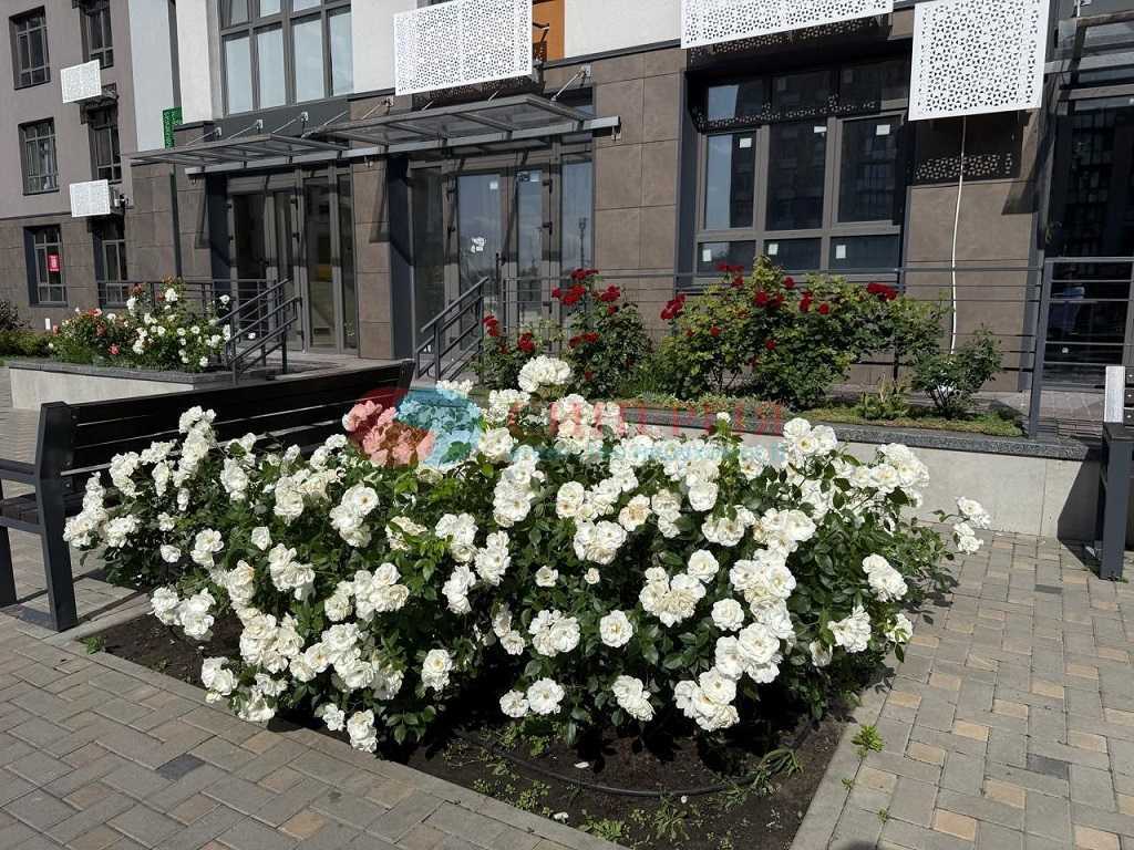 Продажа 1-комнатной квартиры 41.8 м², Тираспольська, 52
