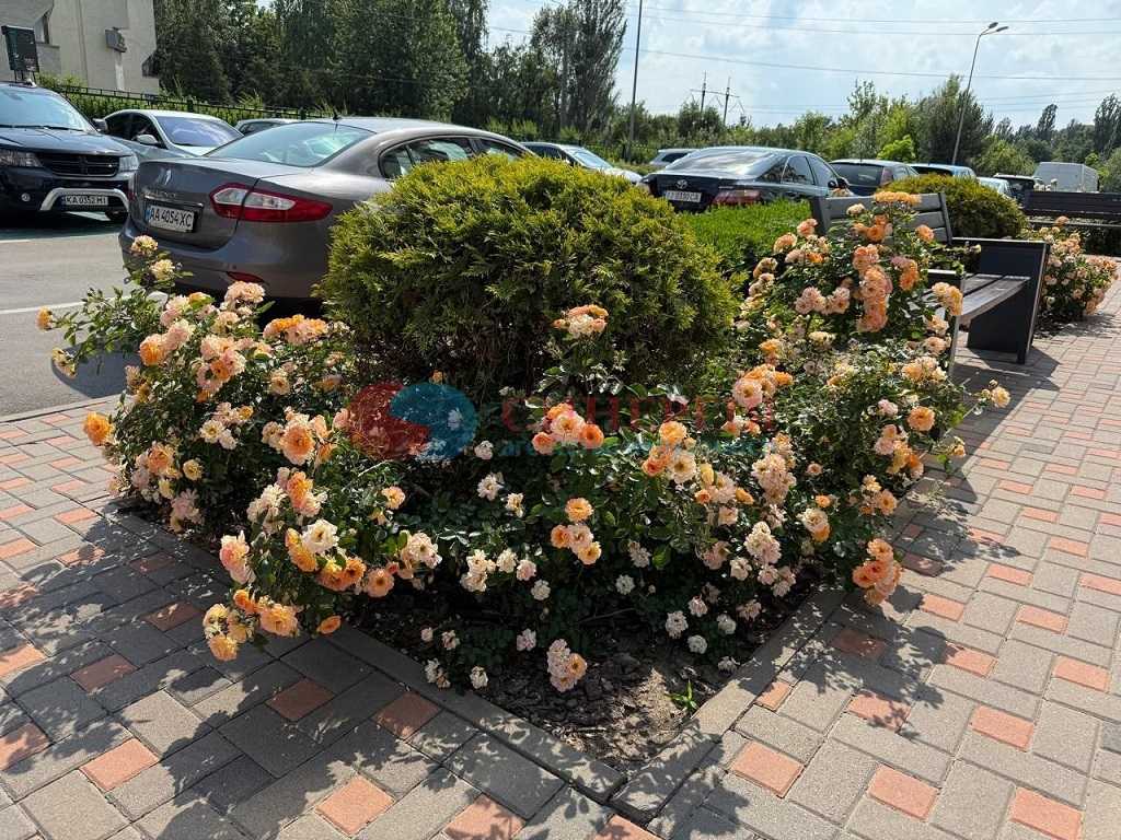 Продажа 1-комнатной квартиры 41.8 м², Тираспольська, 52