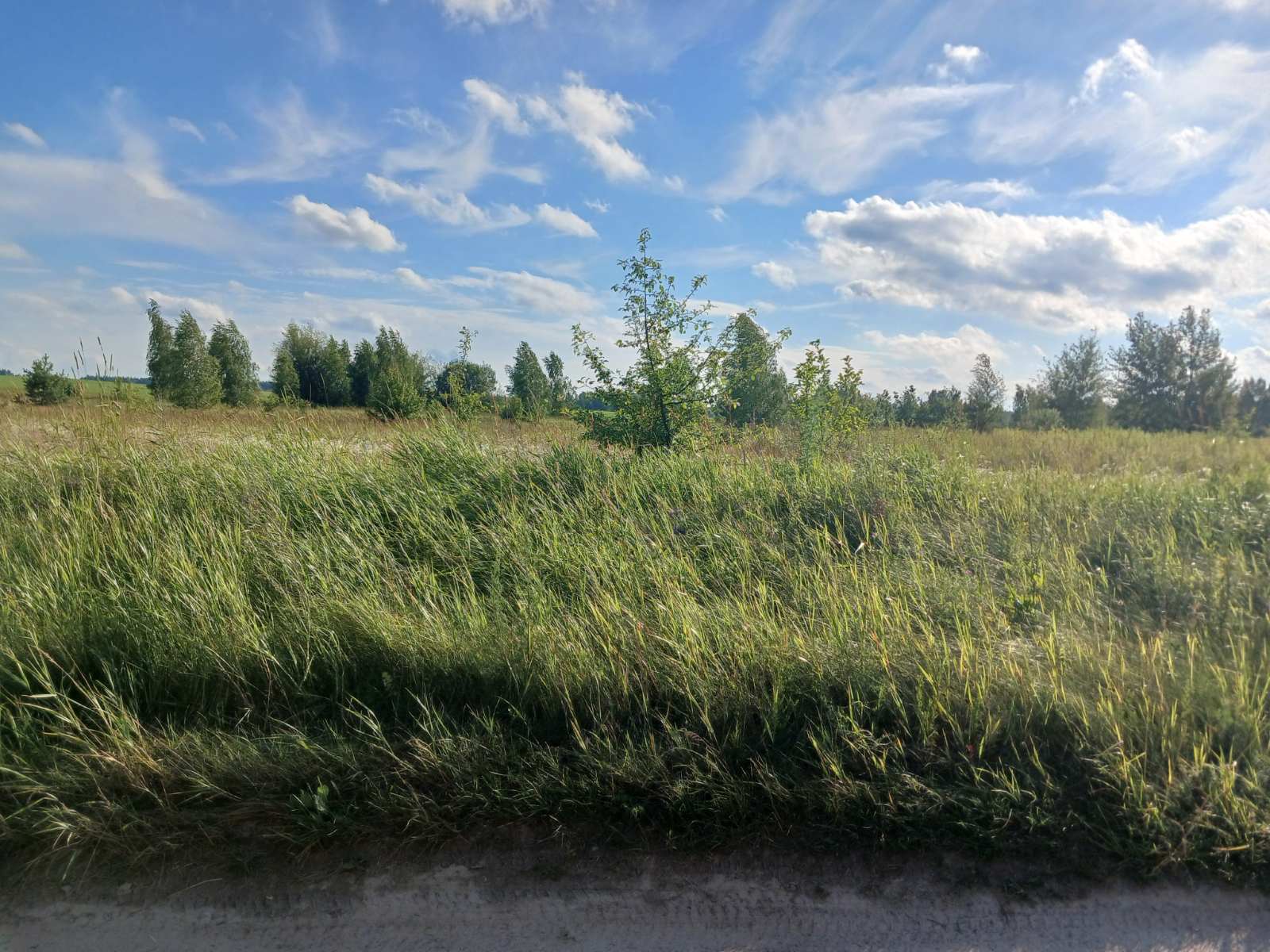 Продажа участка под индивидуальное жилое строительство 2 соток