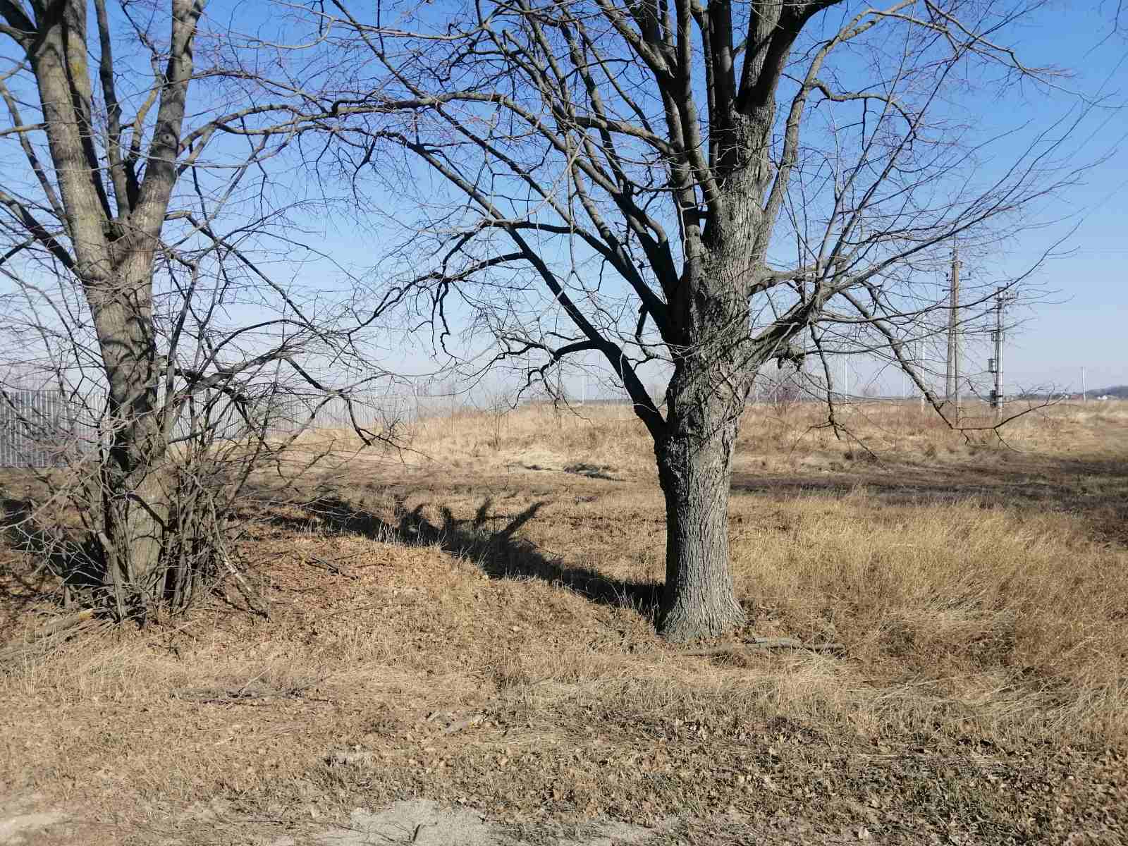 Продаж ділянки під індивідуальне житлове будівництво 10 соток