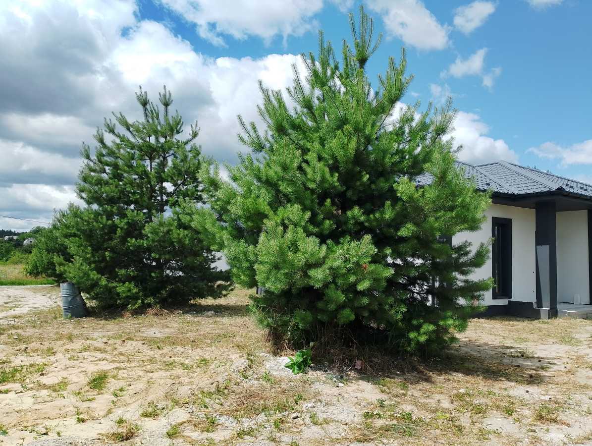 Продажа 4-комнатной квартиры 95 м², Короленка