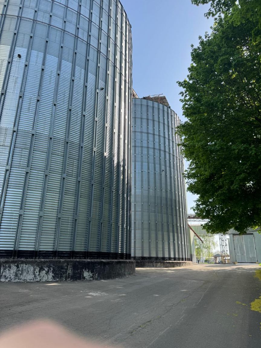 Продаж фруктів 200 м²