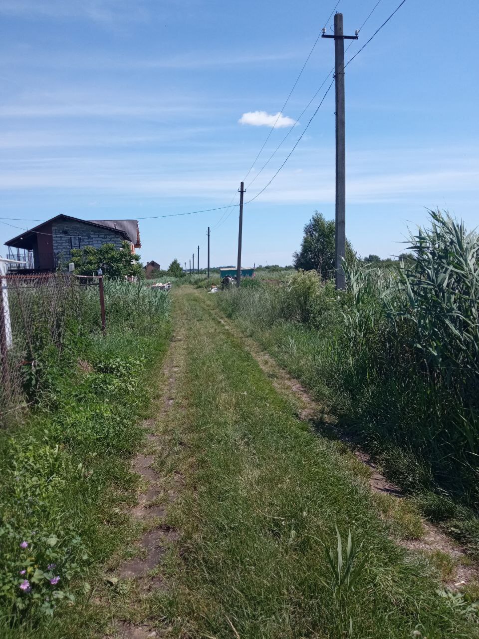 Продаж ділянки під рослинництво 7 соток