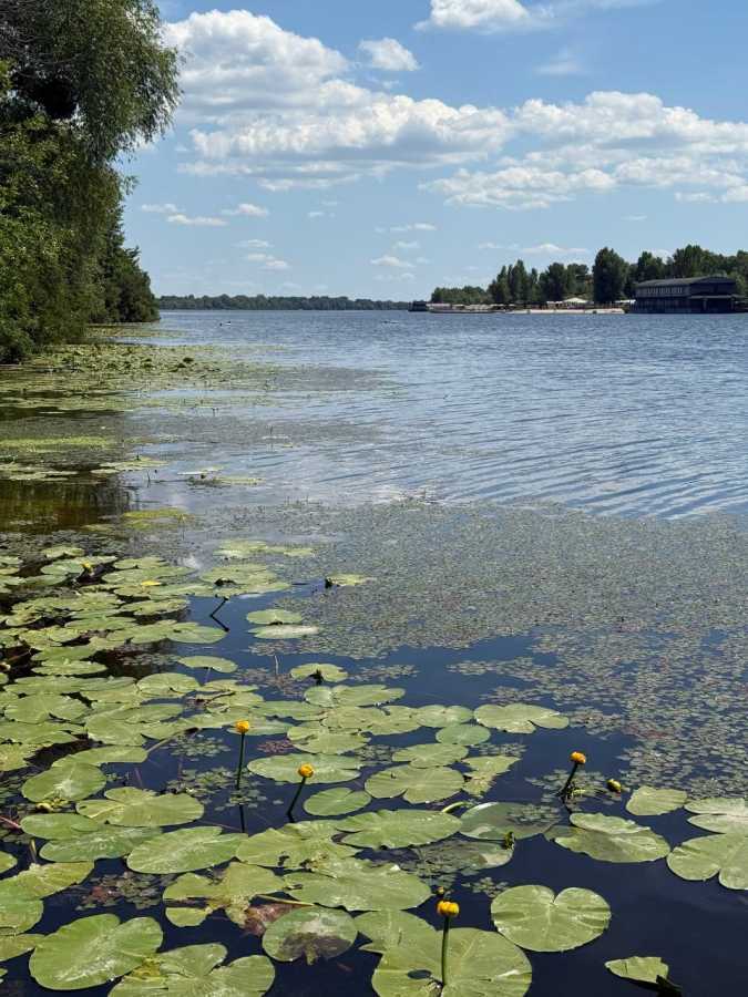 Продажа дачи 80 м², 1-ая Островная, 117