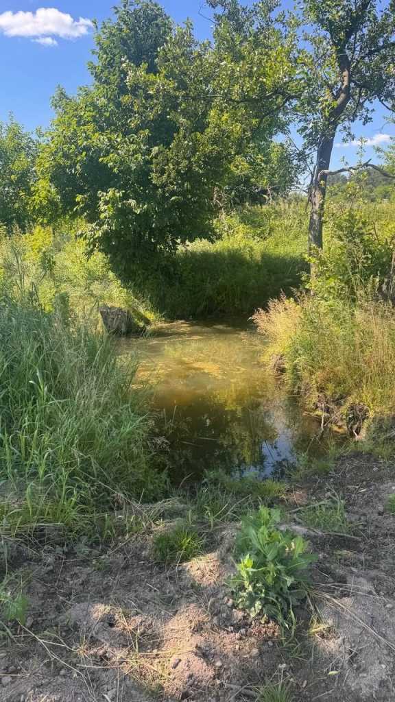 Продаж ділянки під індивідуальне житлове будівництво 12 соток, Володимірська