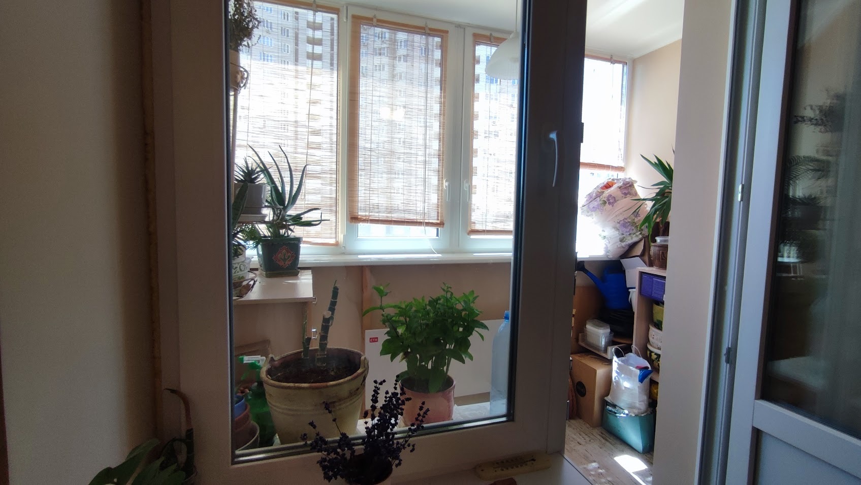 Продаж 2-кімнатної квартири 72 м², Княжий Затон вул.
