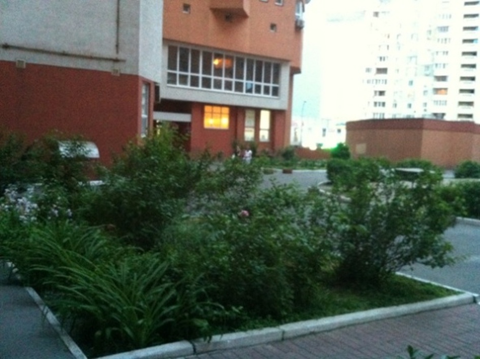 Аренда 1-комнатной квартиры 50 м², Александра Мишуги ул., 2