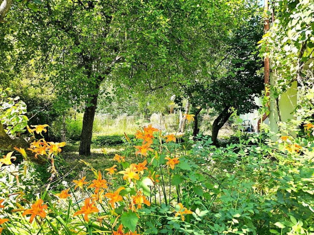Продажа дачи 58 м², 12-я Линия ул.