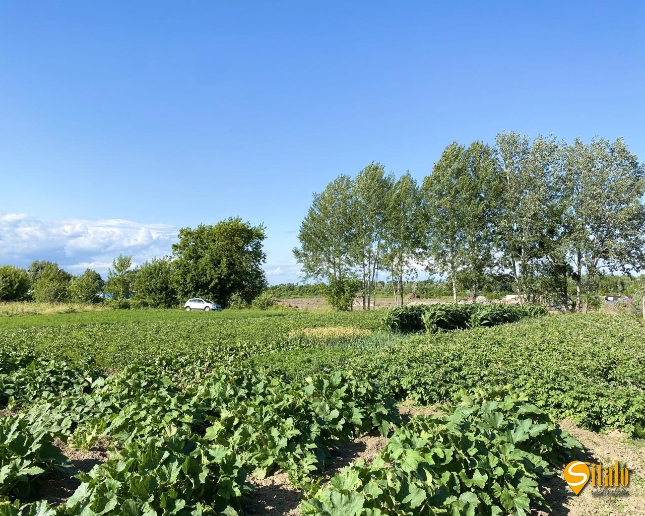 Продаж ділянки під індивідуальне житлове будівництво 45 соток