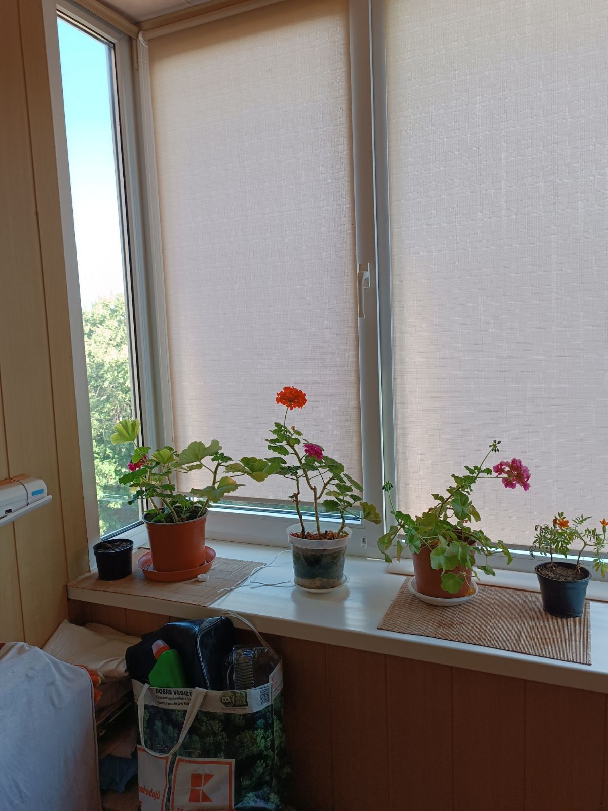 Продажа 2-комнатной квартиры 49 м², Маршала Бирюзова ул.
