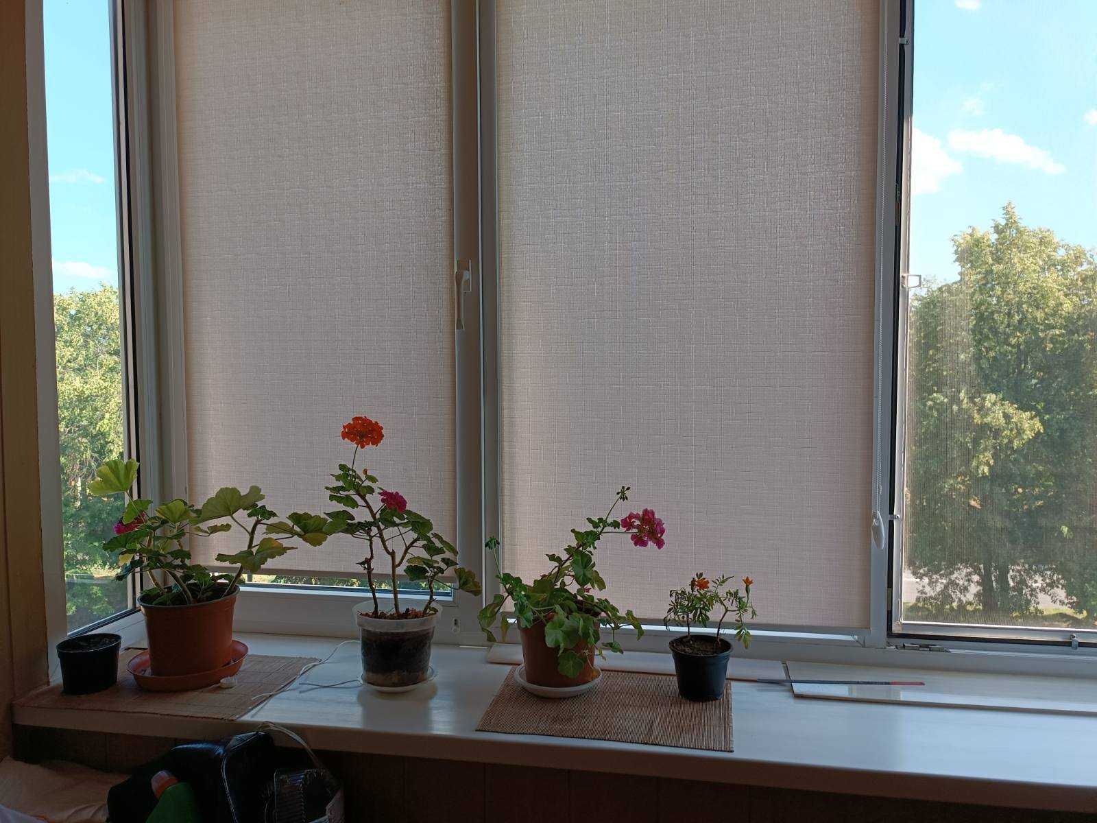 Продажа 2-комнатной квартиры 49 м², Маршала Бирюзова ул.