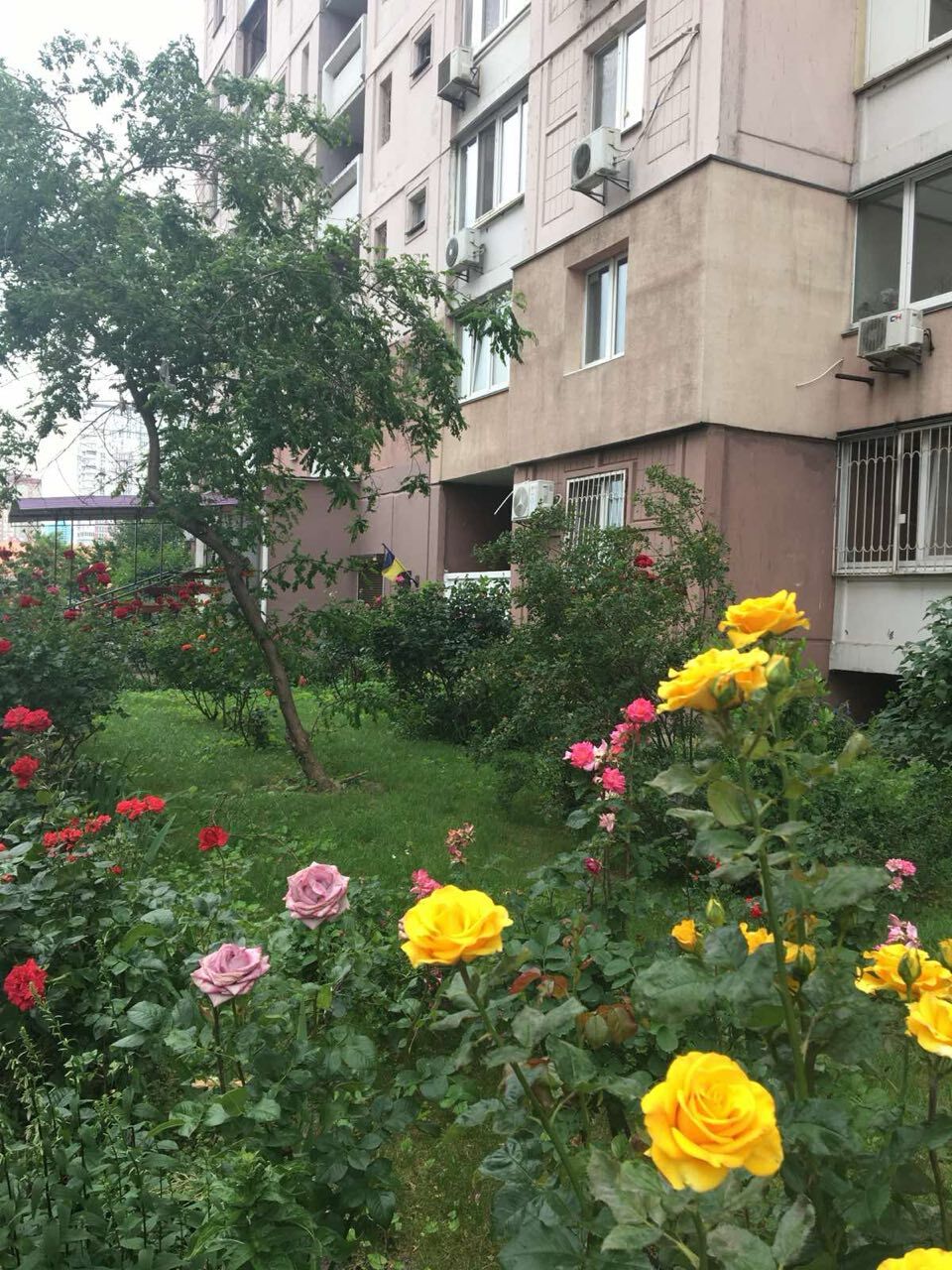 Продаж 1-кімнатної квартири 43.8 м², Олени Пчілки вул., 2Б