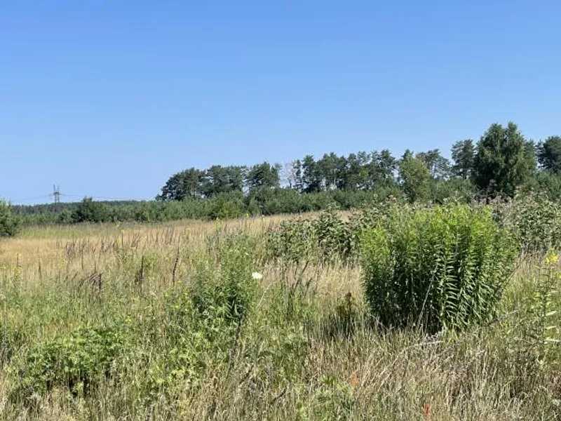 Продажа участка для личного сельского хозяйства 74.76 соток, Лісна