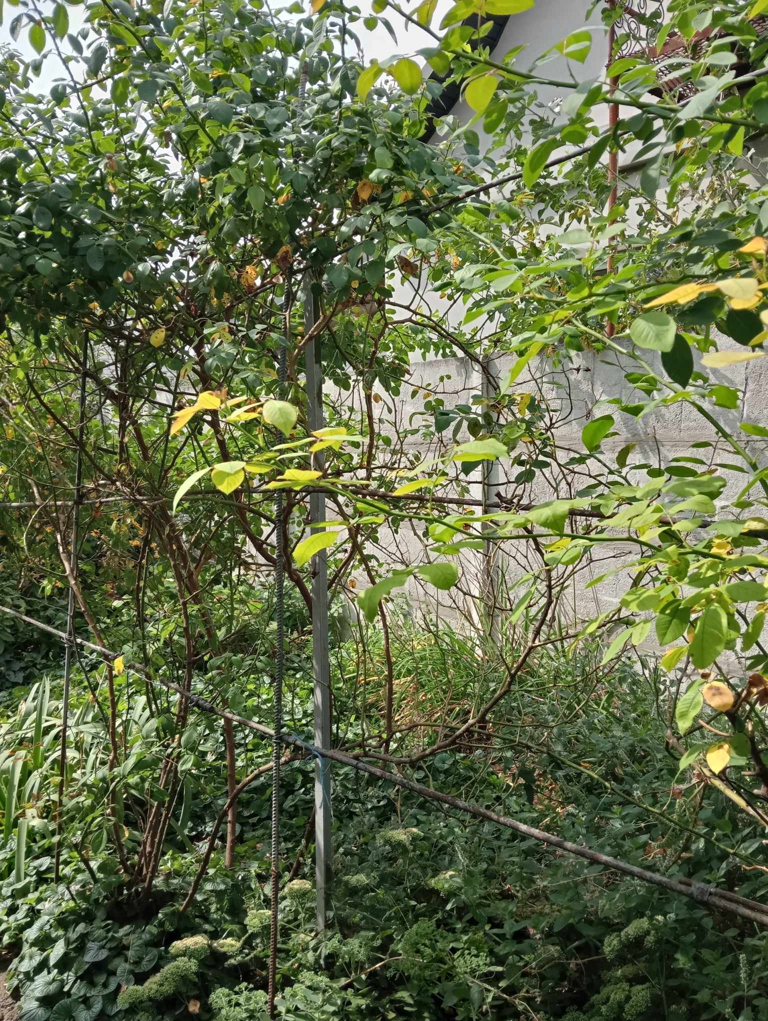 Продаж будинку 145 м², Кірова