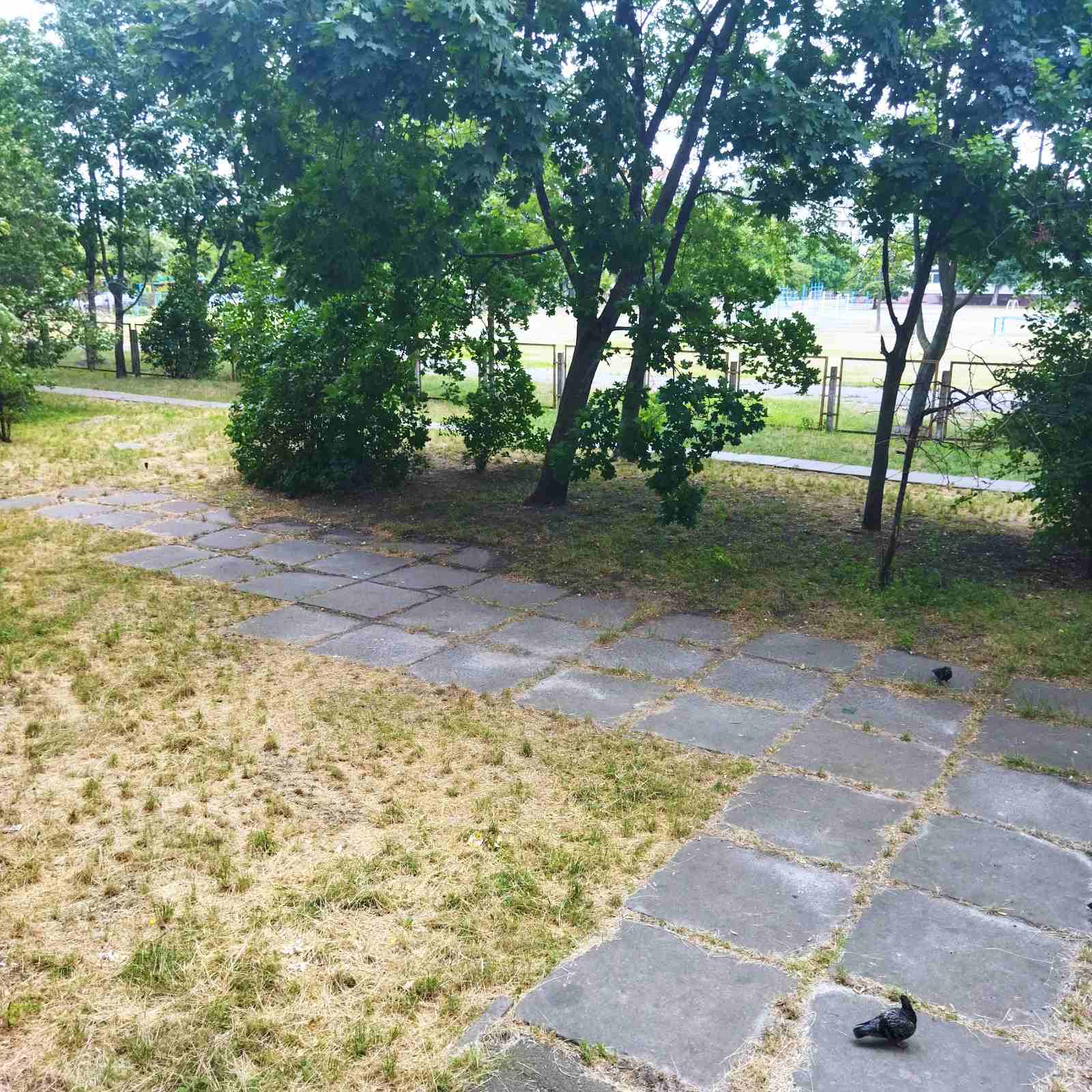 Оренда 1-кімнатної квартири 34 м², Теодора Драйзера вул., 26