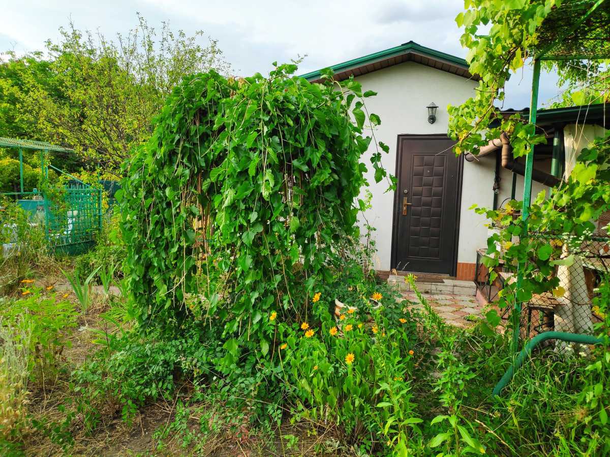 Продажа дачи 61 м², СТ Каскад
